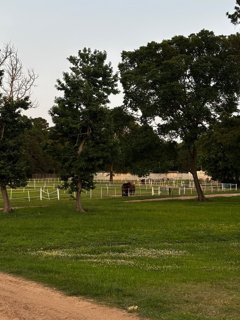 McNair Boarding Stables — horse boarding in Pinehurst, Texas