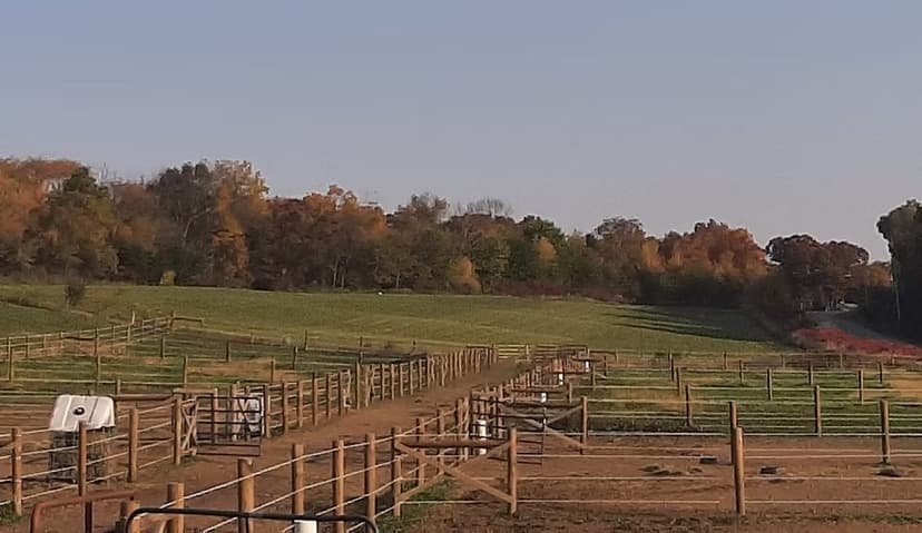 Orchard View Equestrian Center — horse boarding in Marshall, Wisconsin